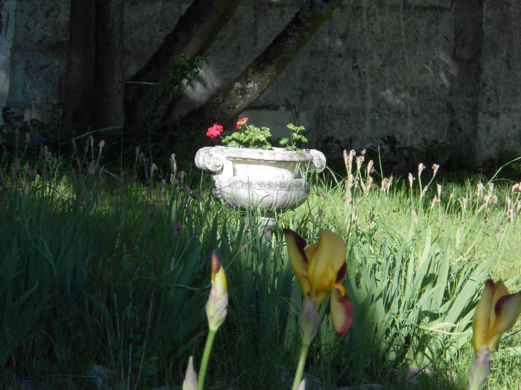 Bed & Breakfast Clos Du Bois Brard